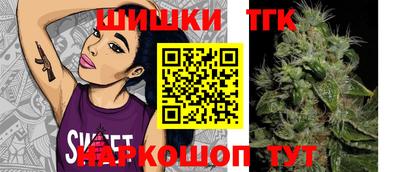 дмт Будённовск