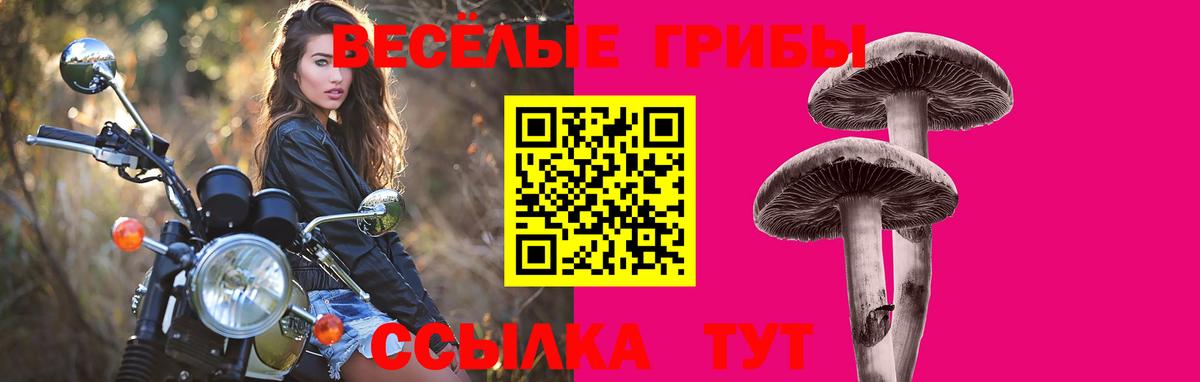 Галлюциногенные грибы GOLDEN TEACHER  Вход с VPN  Краснокаменск  Псилоцибиновые грибы Magic Shrooms 